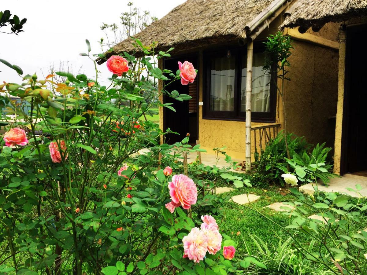 May Homestay - Tam Coc Local Village Ninh Bình Kültér fotó