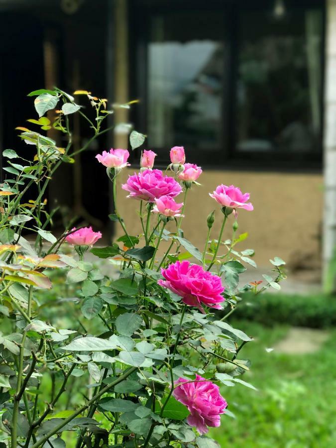 May Homestay - Tam Coc Local Village Ninh Bình Kültér fotó