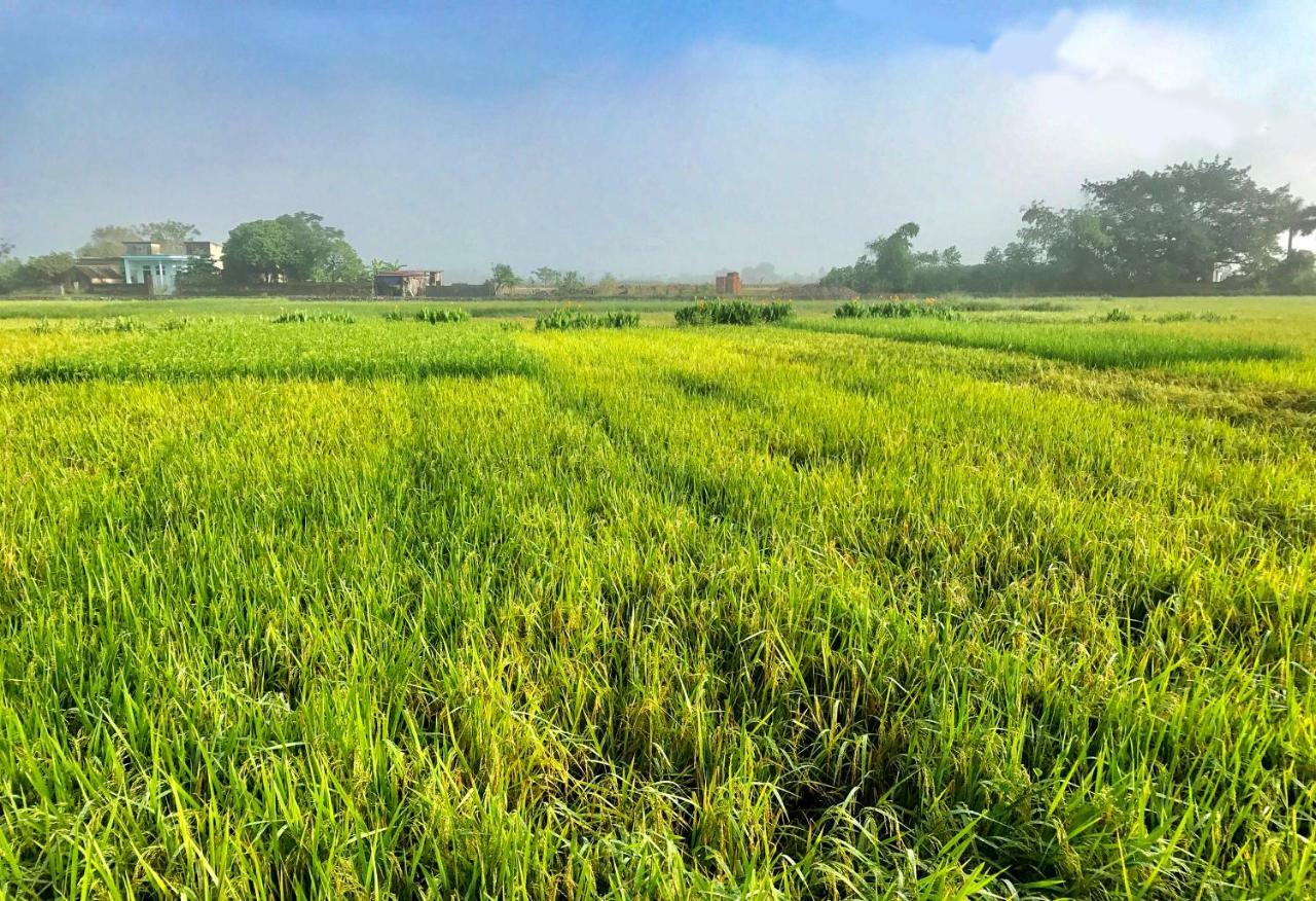 May Homestay - Tam Coc Local Village Ninh Bình Kültér fotó